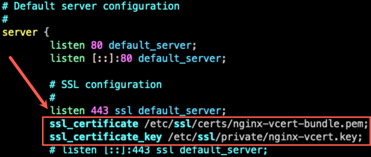 NGINX config file